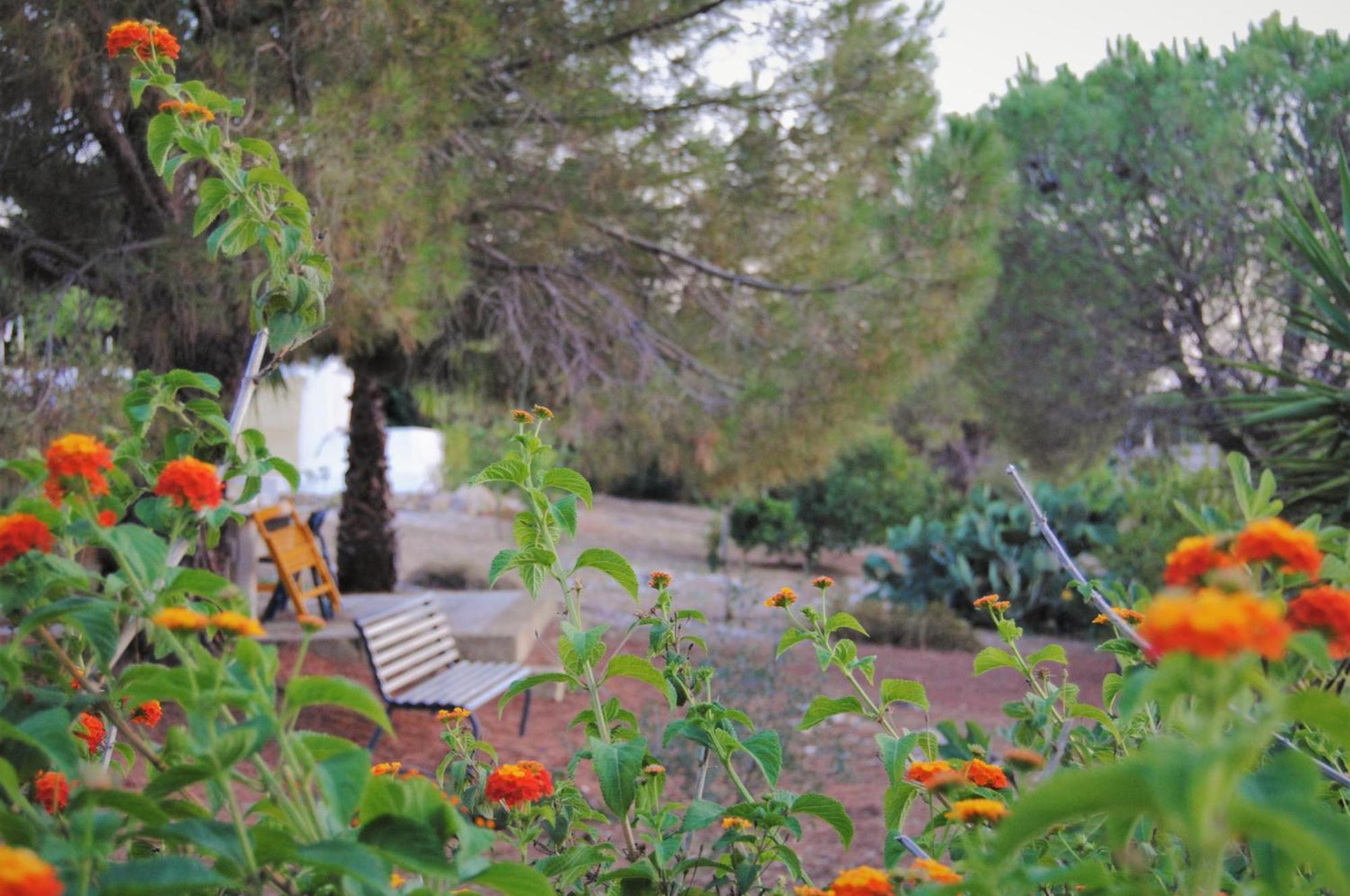 غالّيبولي Villa Carola المظهر الخارجي الصورة